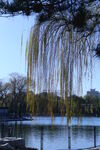 公园风景 