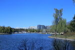 公园风景  
