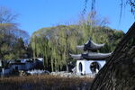 公园风景  