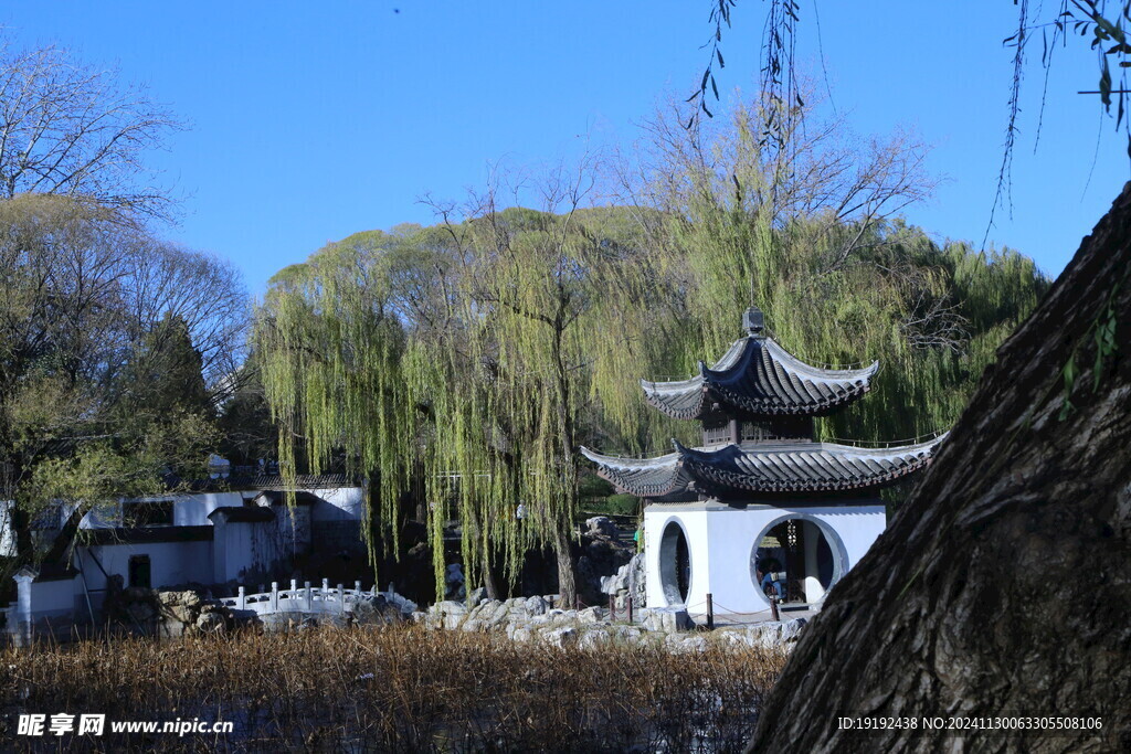 公园风景  