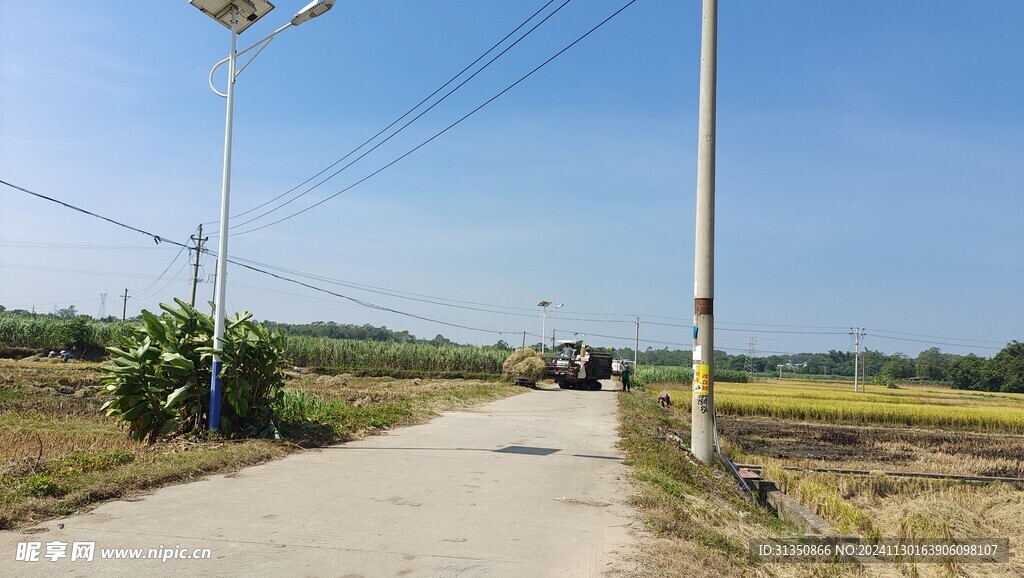 炭窑村门前硬化路