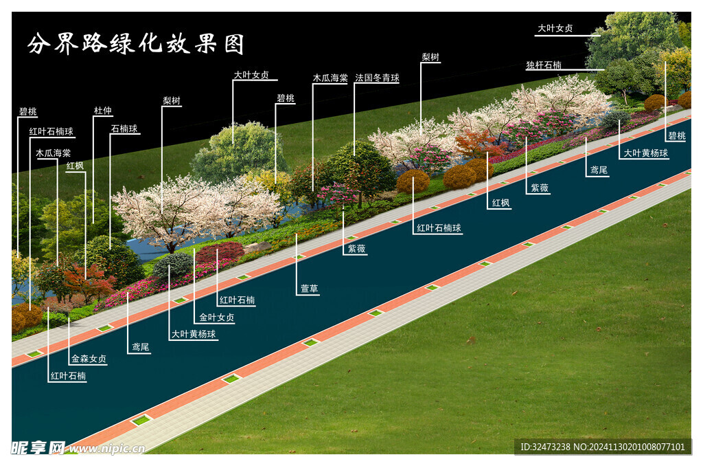 道路绿化