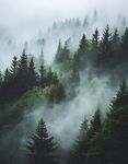 山区旅游
