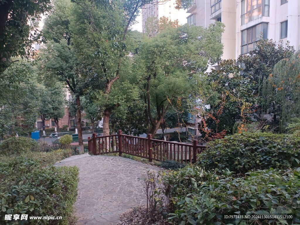 园林景观