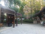 小区绿化