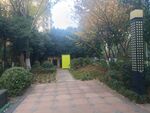 公园绿道