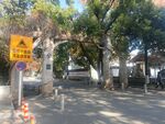 公园绿道