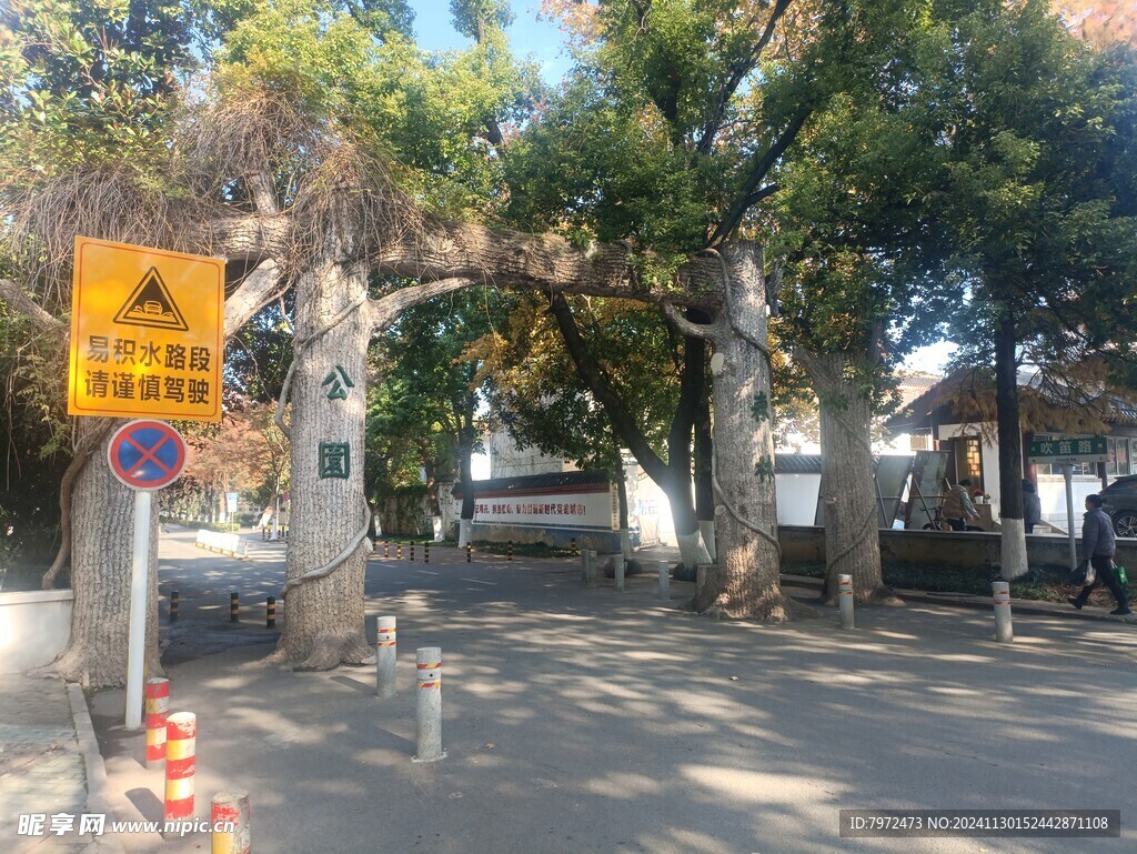 公园绿道