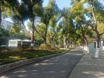 公园绿道