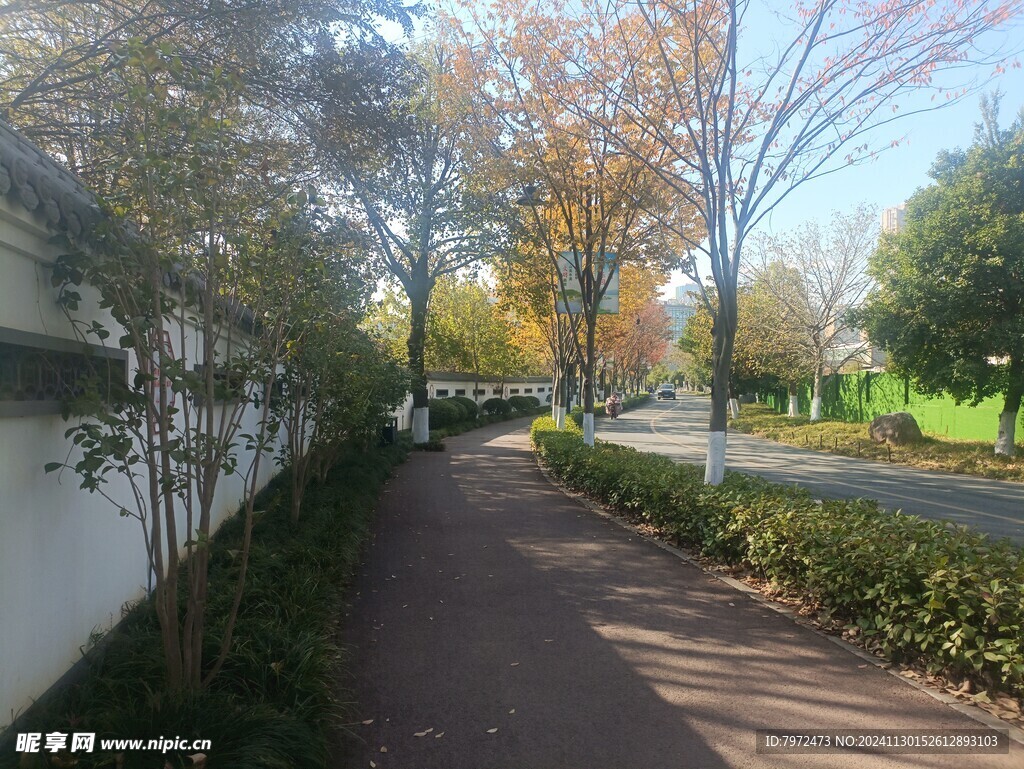 公园绿道