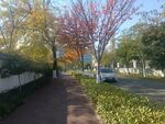 园林景观