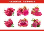 免扣火龙果