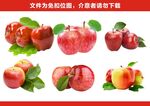 免扣苹果
