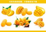 免扣芒果