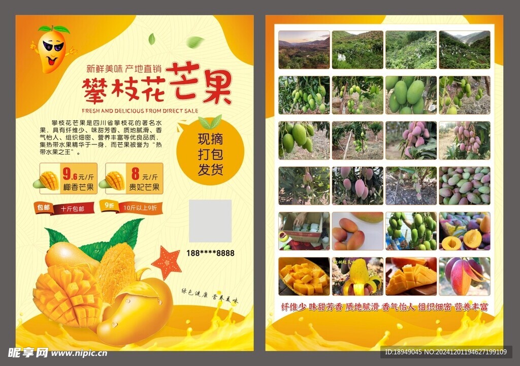 芒果宣传单