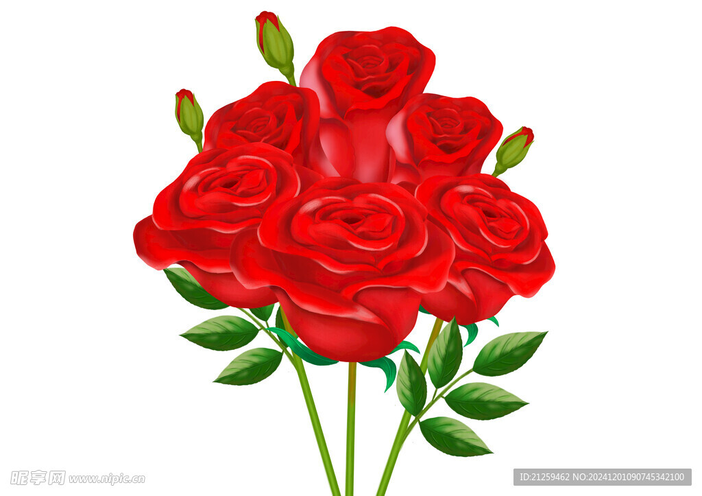 红玫瑰花素材