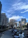 城市道路