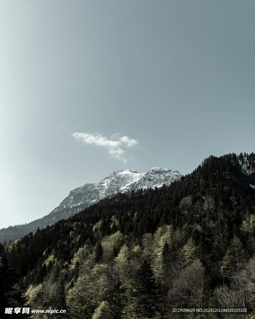 雪山 