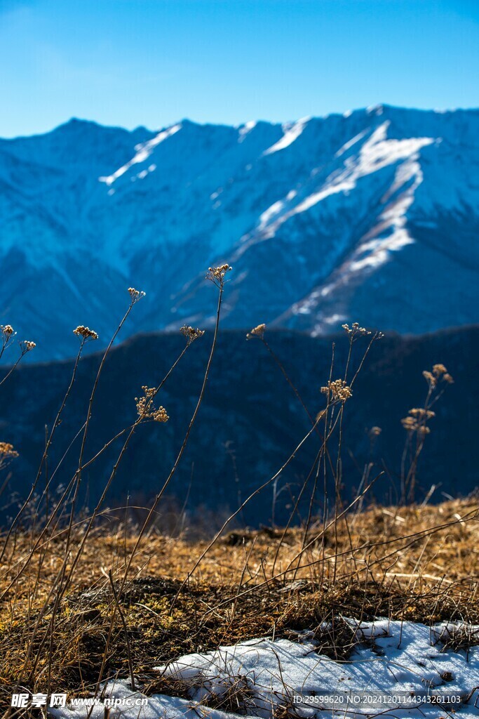 雪山  