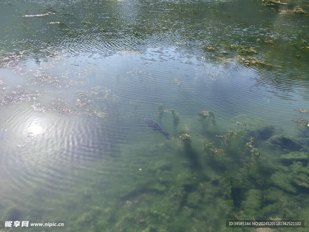 湖面