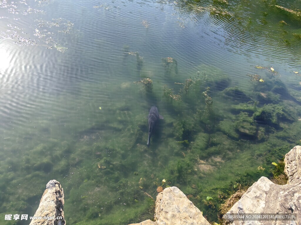 湖面