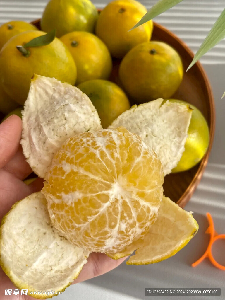 脐橙