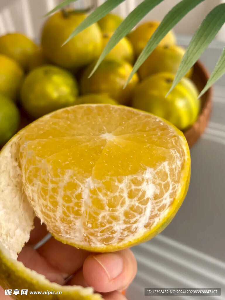 橘子