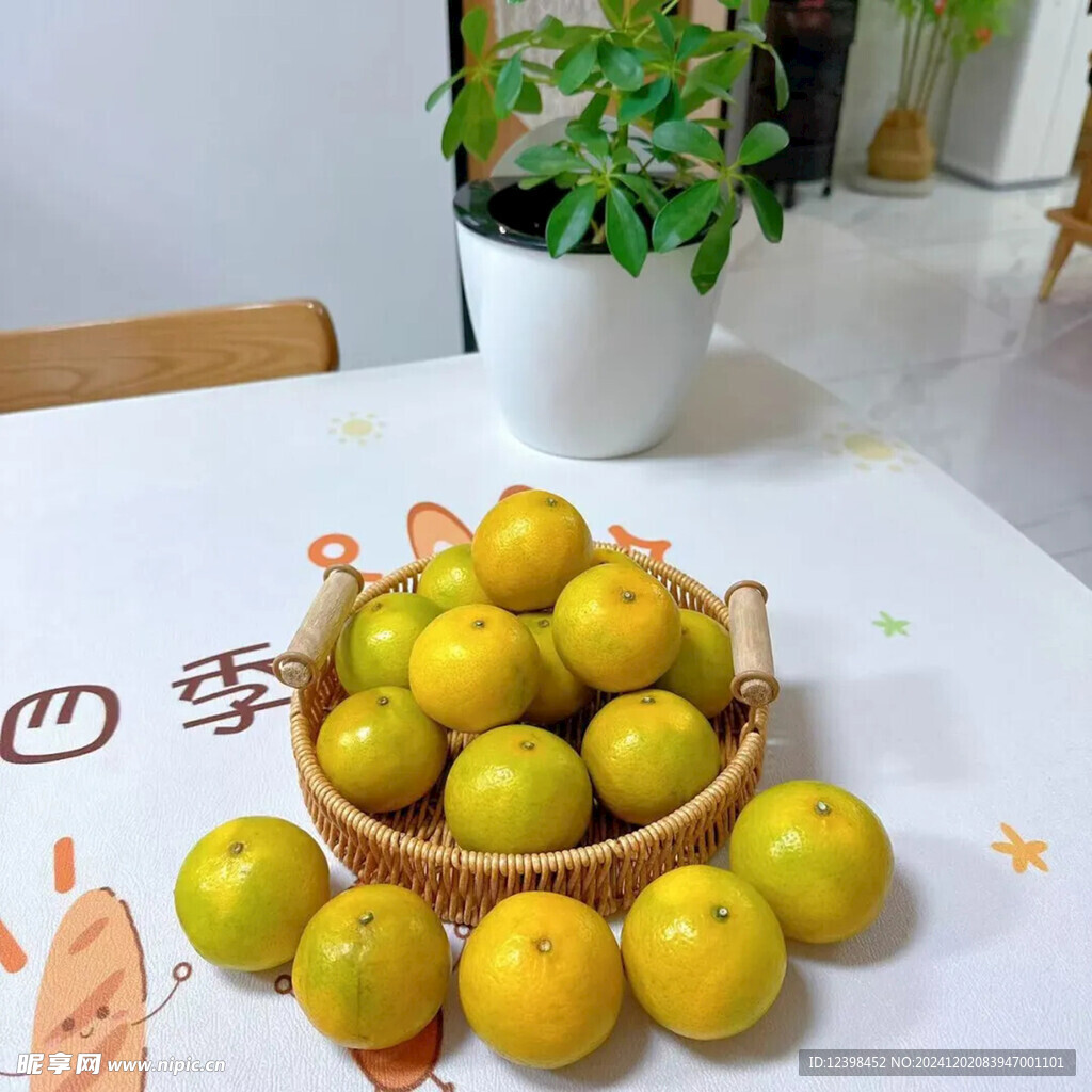 脐橙