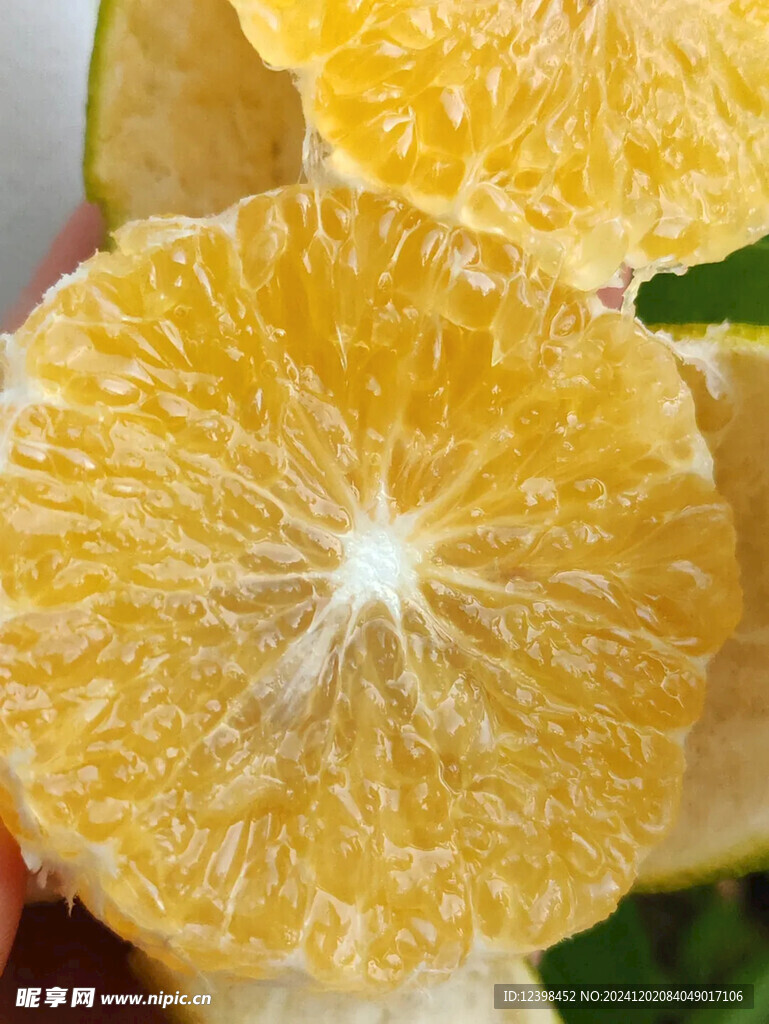 脐橙