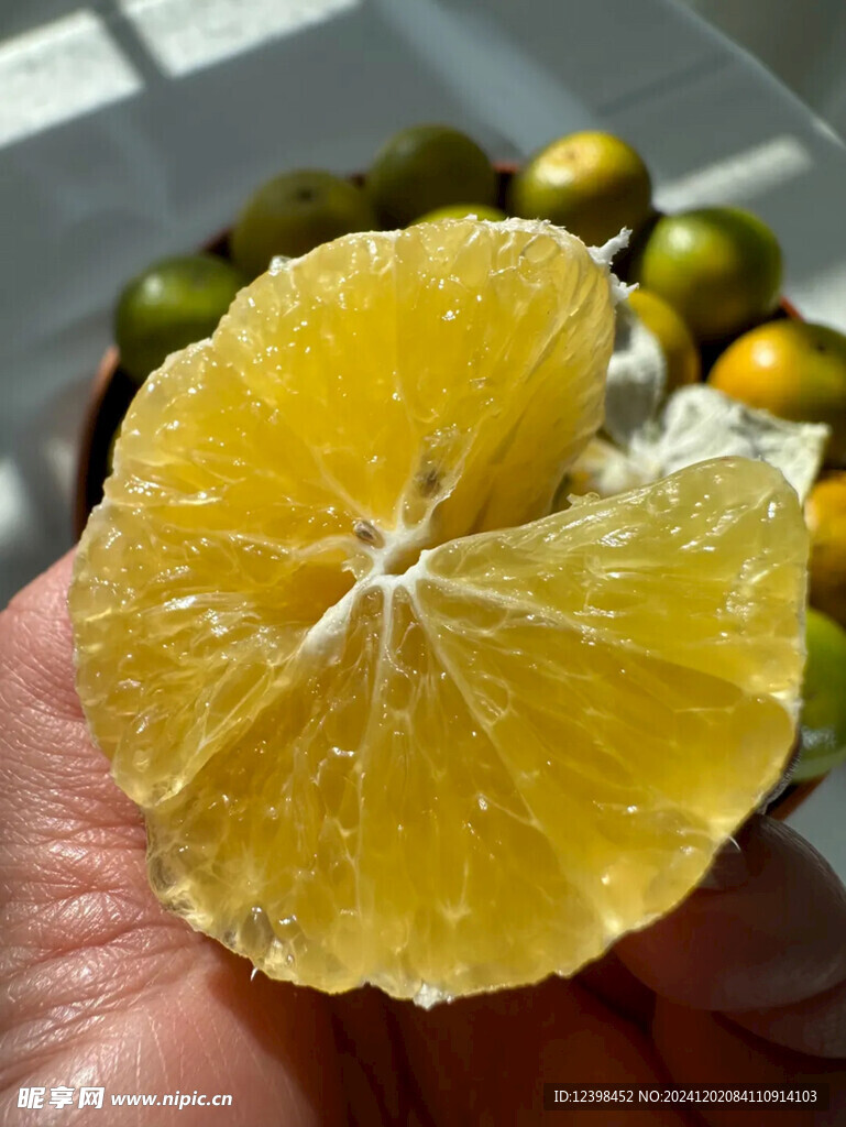 脐橙