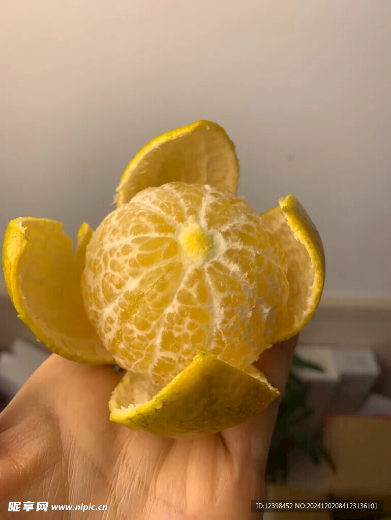 脐橙