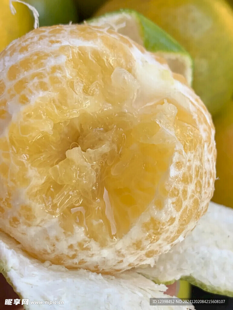 脐橙