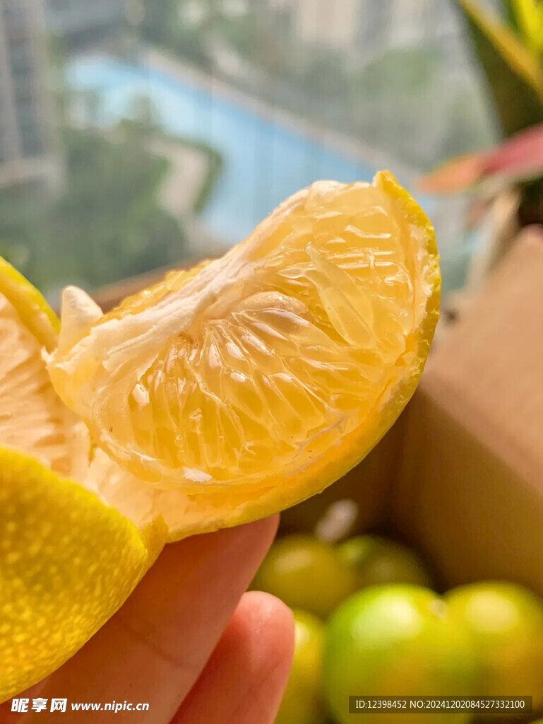 脐橙