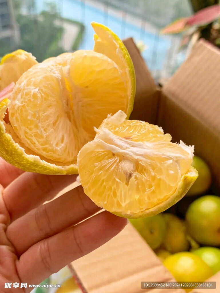 脐橙