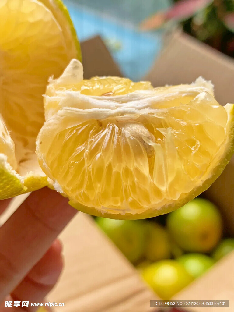 脐橙