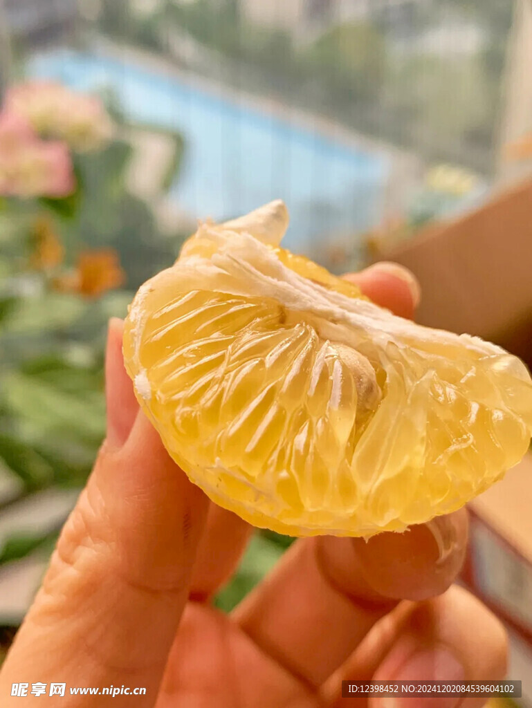 脐橙