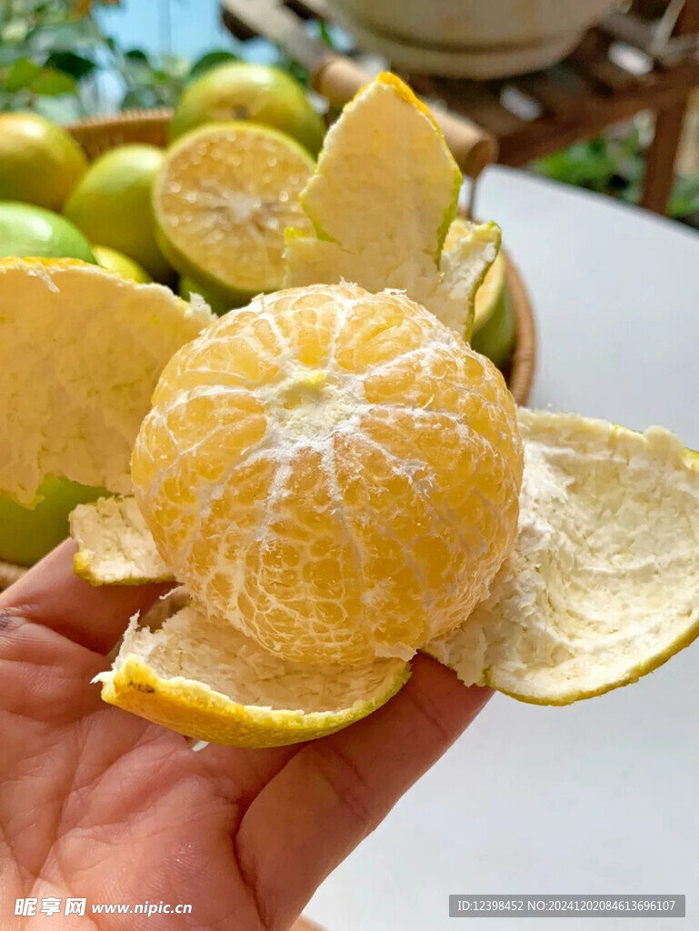 脐橙