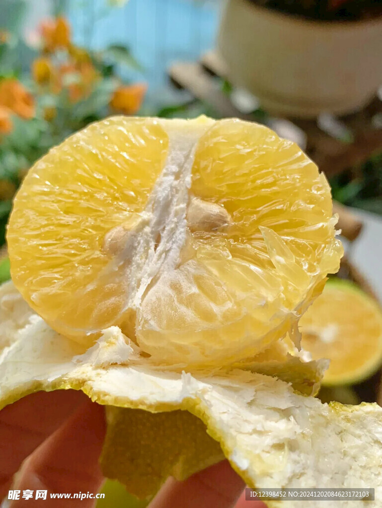 脐橙
