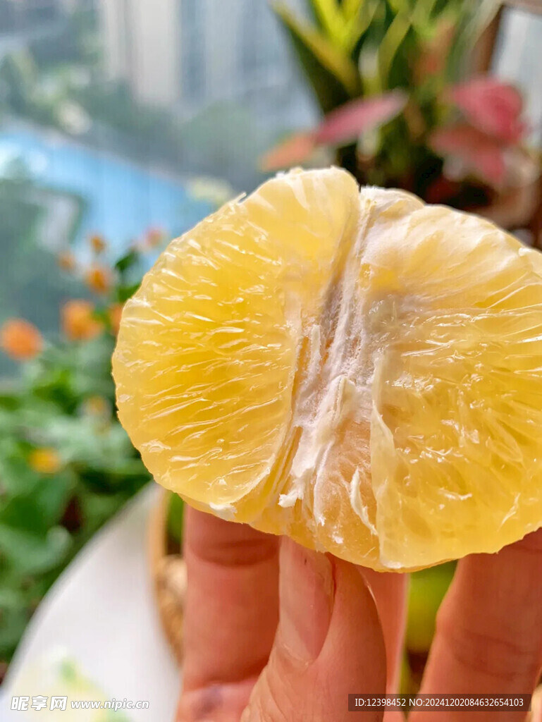 脐橙