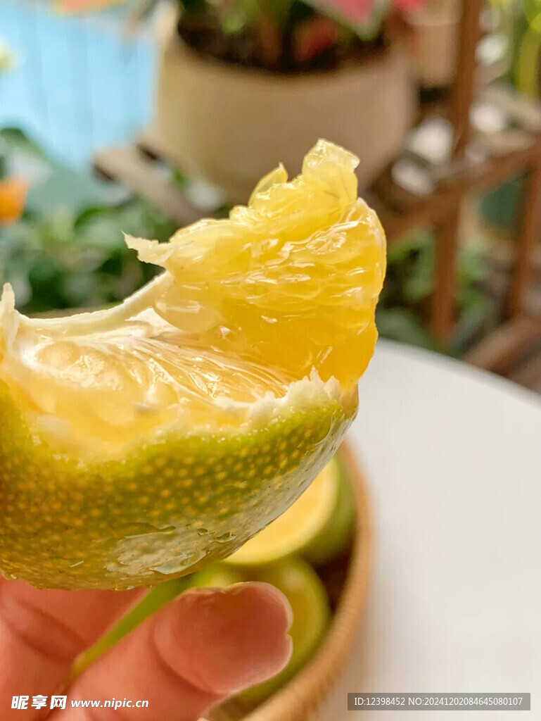 脐橙