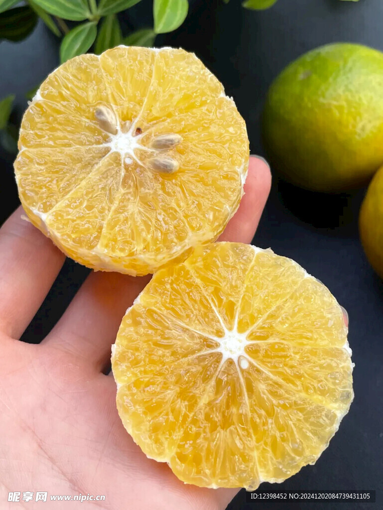 脐橙
