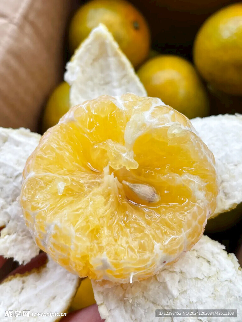 脐橙