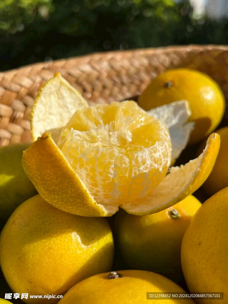 脐橙
