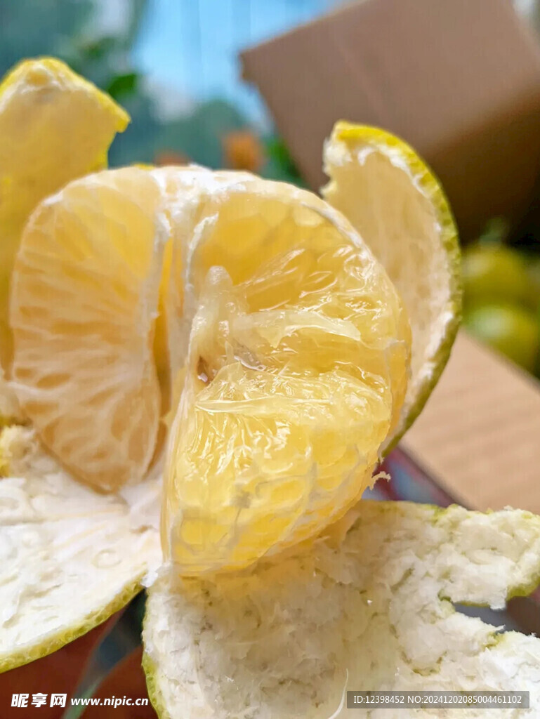 脐橙