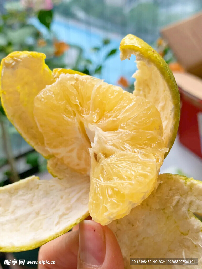脐橙