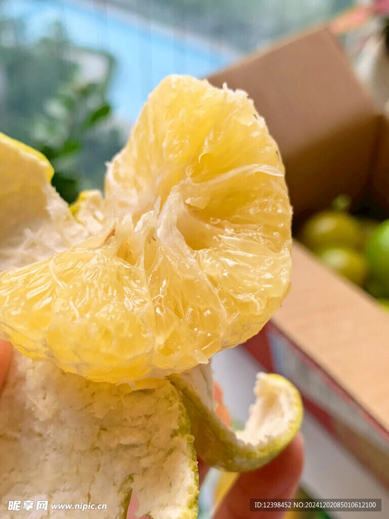 脐橙