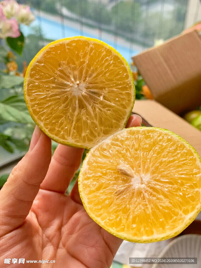 脐橙