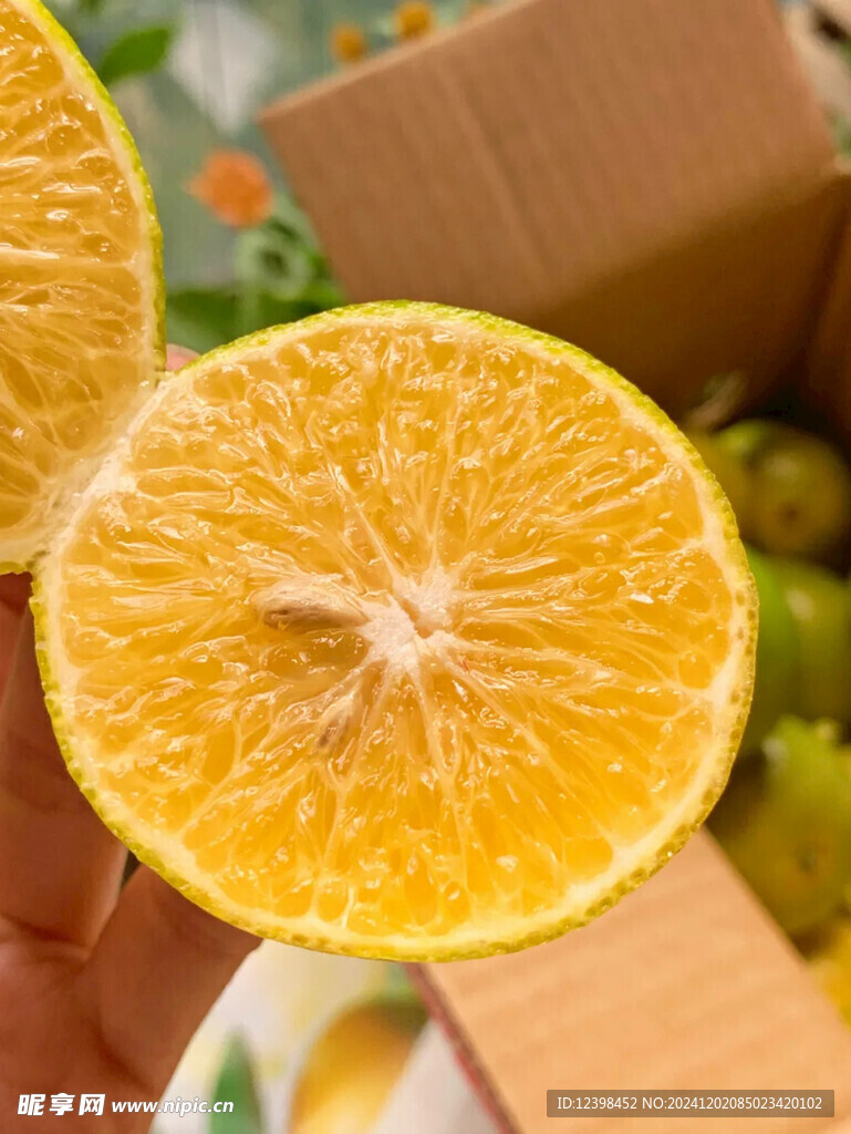 脐橙