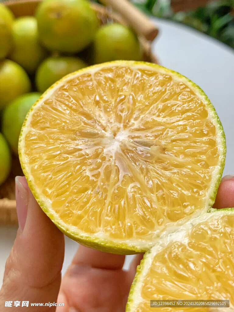 脐橙