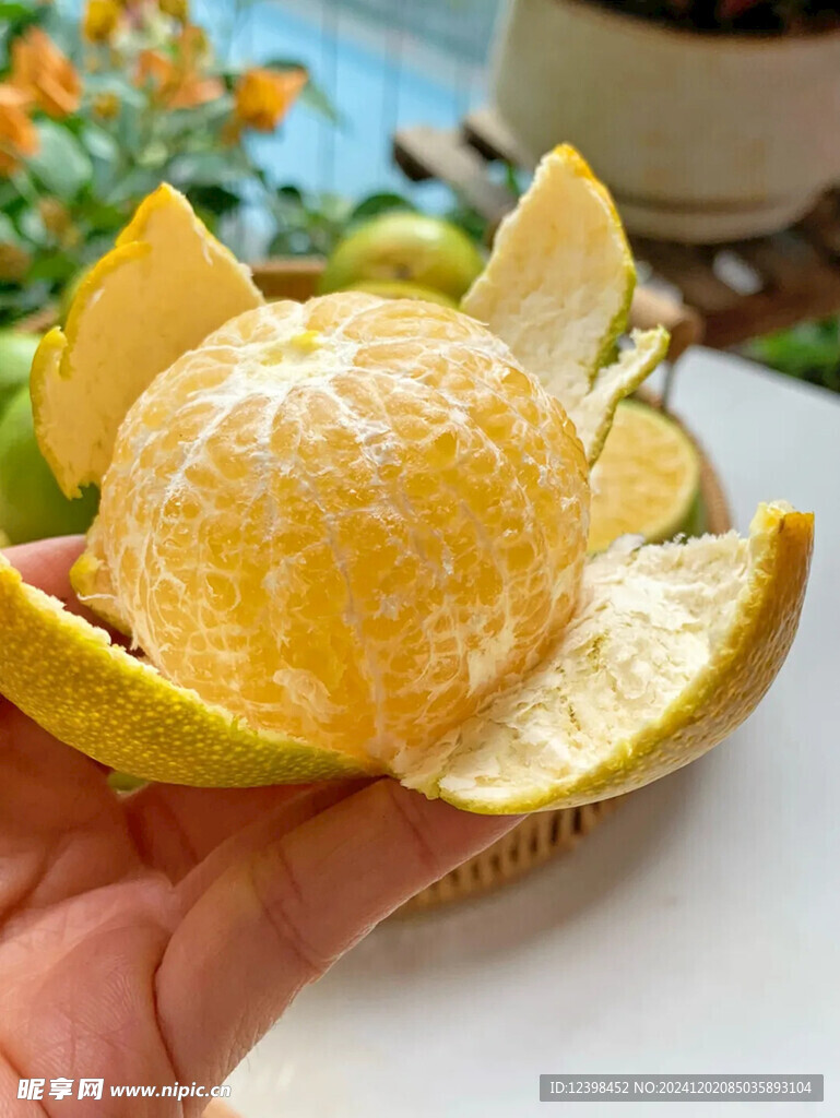 脐橙